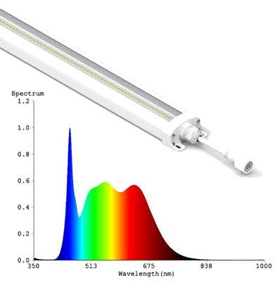 LEDlife 19W Philips LED groeilamp - 48 cm, RA95, volledig spectrum, IK05, IP65