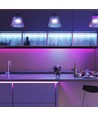 60 24W/m LED Strip Licht - CCT 3in1+RGB, IP20, 24V