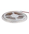 5m Groene 3,2W/m spatwaterdichte LED strip - Groen licht, IP65