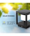 2W LED solar tuinlamp met sensor - IP65, 3000K, zwart, 14x14cm, 3 jaar garantie