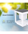 2W Solara LED solar tuinlamp met sensor - IP65, 3000K, wit, 3 jaar garantie