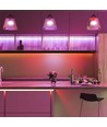 5m 12W/m RGB LED strip - 24V, 120 LED per meter, IP20, 8mm breedte