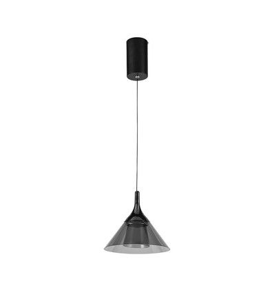9W LED pendel - 19,5x17,5cm, 1000lm, zwart, 4000K, incl. lichtbron