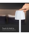 3W oplaadbare LED tafellamp, touch dimbaar - 310lm, 3000K, zwart/transparant, hoogte 37cm