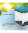 Solara tuinlamp met spies, 3000K - Solar, IP65, donkergrijs, decoratieve buitenverlichting