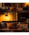 Oplaadbare 3-in-1 LED-lamp - Magnetisch, dimbaar, CCT, up/down-licht, zwart, incl. voet en 2 stuks montagebeugels