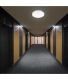 15W LED plafond/wandlamp met sensor - Samsung LED chip, 3-in-1 CCT, IP44, wit, rond, Ø25cm