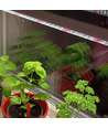 LEDlife Pro-Grow 2.0 groeilamp - 30 cm, 4W LED, volledig spectrum, IP65