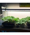 LEDlife Pro-Grow 2.0 groeiset - 2 x 120 cm, 36W LED, volledig spectrum