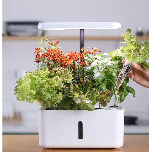 LEDlife hydroponische moestuin - Wit, incl. kweeklamp, 10 plaatsen, timer, 2,8L watertank