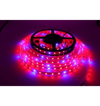 8,5W/m spatwaterdichte groeiledstrip - 5m, 60 LED per meter, 24V DC, IP65
