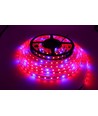 8,5W/m spatwaterdichte groeiledstrip - 5m, 60 LED per meter, 24V DC, IP65