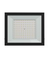 100W breedstraler - IP65, zwart, werklamp