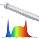 LEDlife Max-Grow 2.0 30W groeilamp - 120 cm, 30W LED, volledig spectrum, IP65