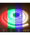 5m 20W/m RGB+WW COB-LED-strip - 24V DC, IP20, 784 LED