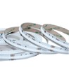 5m 20W/m RGB+WW COB-LED-strip - 24V DC, IP20, 784 LED