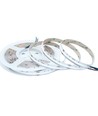 5m 20W/m RGB+WW COB-LED-strip - 24V DC, IP20, 784 LED