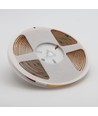 5m 12,5W/m Dot-free COB-LED-strip RA90 - 24V DC, IP20, 480 LED/m, 5 jaar garantie