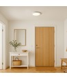 18W dimbare LED-plafondlamp - Ø22,5cm, hoogte: 3,9cm, witte rand