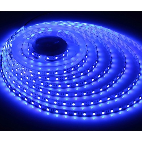 5m 10W/m Blauw 450 nm LED-strip - 24V DC, IP20, 120 LED