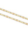 10m 17W/m waterdichte LED strip - 24V DC, IP68, 168 LED's per meter!