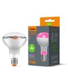 E27 9W LED kweeklamp voor planten - R80, 120°, 14 µmol/s, stimuleert groei