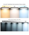 39W CCT plafondlamp met RGBIC backlight - Ø30cm, Tuya, incl. afstandsbediening