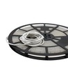 15m 7,5W/m Pool strip waterdicht - 24V DC, IP68, 120 LED's per meter