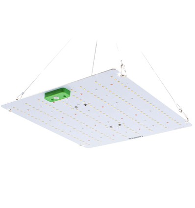 Quantum groeilamp 65W - Inclusief ophanging, volledig spectrum, zonder ventilator, IP65