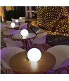 Ø15 cm RGB LED bal - Oplaadbaar, met afstandsbediening, IP66