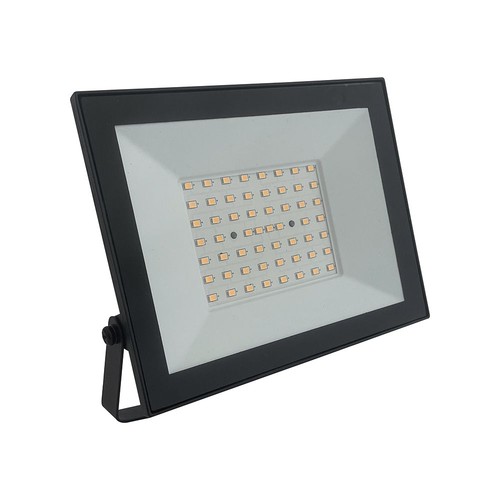 50W LED-breedstraler - Werklamp, buiten