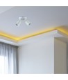2xGU10 Wand/plafondspot - Wit, IP20 binnen, zonder lichtbron