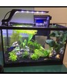 27,5 cm aquariumlamp - 10W LED, wit/blauw