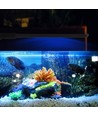 27,5 cm aquariumlamp - 10W LED, wit/blauw