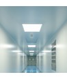 60x60 PHILIPS driver LED paneel, 40W - 120lm/W, 4000K, 5 jaar garantie
