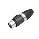 DMX XLR vrouwelijk output - 3x1-2,5mm2