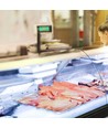 120cm / 18W T8 LED buis voor vis en schaaldieren - RA95, glas, 160 graden, vervangt 36W