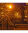 E27 tuinlamp op paal - Zwart, IP44 buiten, aluminium, hoogte: 136,5 cm, zonder lichtbron