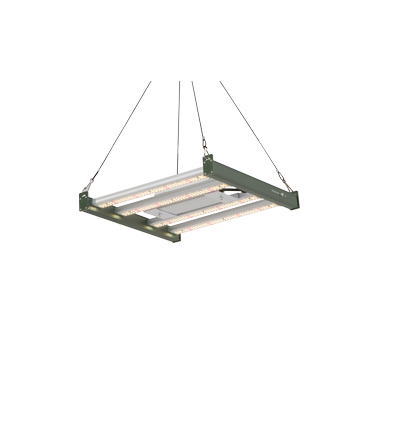 Veggellamp 220W - Incl. ophanging, volledig spectrum, zonder ventilator, IP65