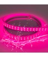 5 m waterdichte groeiledstrip - 230V, IP67, 180 LED, 10W per meter