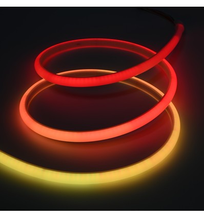 5m buiten RGBIC Neon LED strip - 2 meter kabel, 10W/m, 576 LED per meter, 24V, IP67