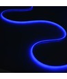10m buiten RGBIC Neon LED strip - 2 meter kabel, 10W/m, 576 LED per meter, 24V, IP67
