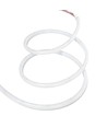 10m buiten RGBIC Neon LED strip - 2 meter kabel, 10W/m, 576 LED per meter, 24V, IP67