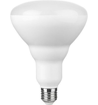 E27 14W dimbare LED lamp - R120, 1300lm, 2700K