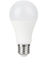 E27 10W LED-lamp, 12-60V - A60, 810lm, opaal glas, AC/DC