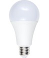 E27 12W LED lamp, 12-60V - A70, 1100lm, opaal glas, 3000K, AC/DC