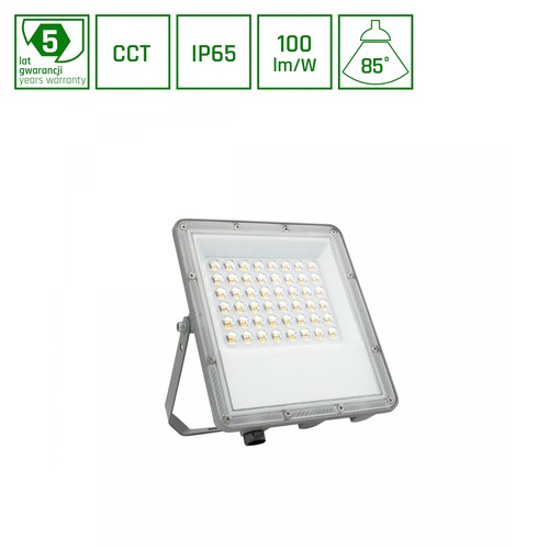 50W NOCTIS MAX CCT breedstraler - IP65, 3 lichtkleuren, grijs, buiten