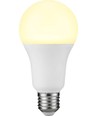 E27 15W LED lamp - A71, 1200lm, opaal glas, 3000K