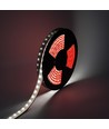 LEDlife 22W/m LED-strip - 5m, Wall washer IP68, 24V, 48 LED per meter