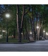 LED PARISIENNE PREMIUM COG 20W E-27 NW MAT SPECTRUM